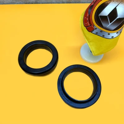 بلبرینگ سرکمک رنو سفران لتیتود 543256557R