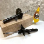 کمک جلو سفران لتیتود