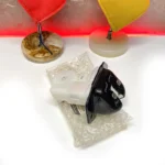 قفل صندوق عقب کولیوس قدیم 905923361R