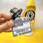 ترموستات اصلی فلوئنس 21200-EA000