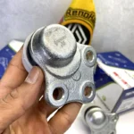 سیبک طبق فلوئنس