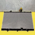 رادیاتور آب رنو کولیوس نیو 214104CG0A